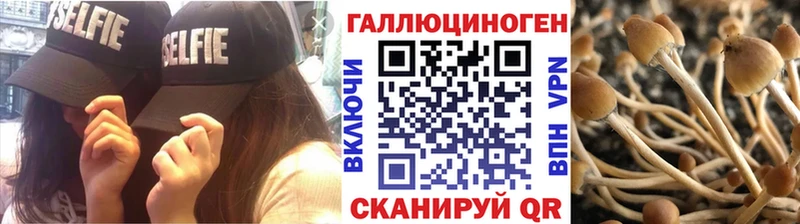 Галлюциногенные грибы Cubensis Липецк