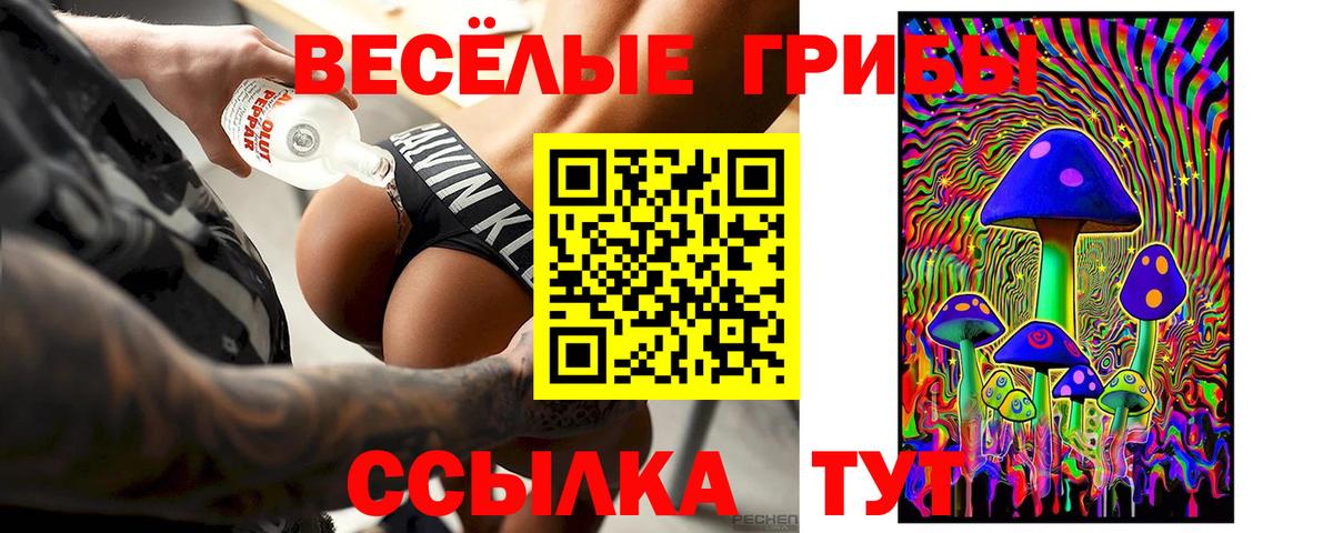 Псилоцибиновые грибы прущие грибы Липецк